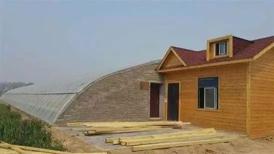 临沂最新违建房 (临沂严查房产整顿)