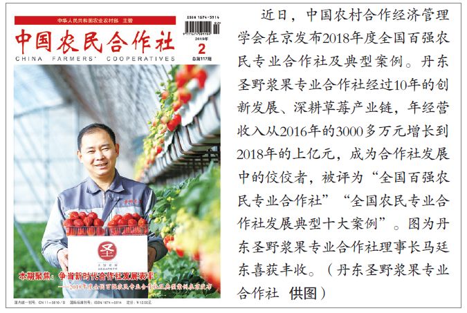 盘活抛荒土地助力乡村振兴,盘活闲置农房土地带动乡村振兴