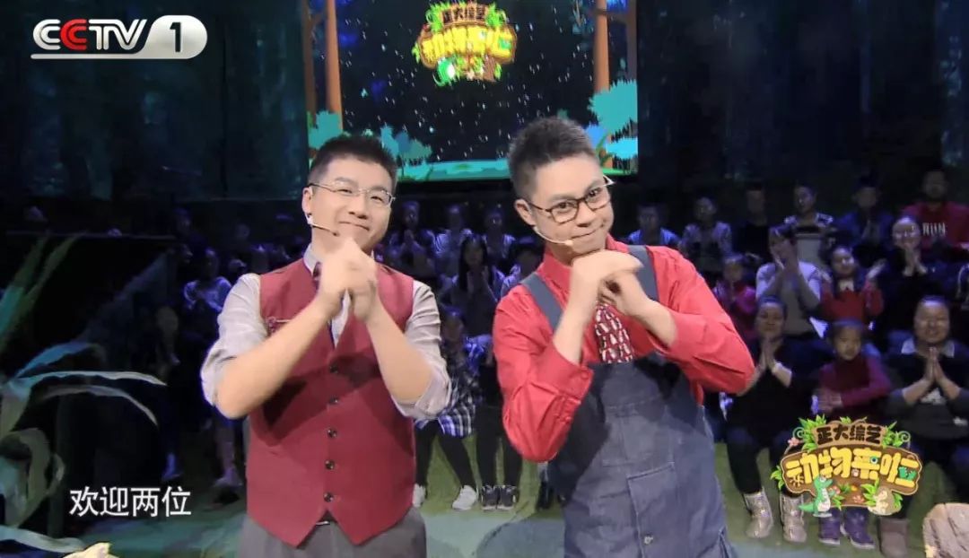 企鹅单身日记:我就是“吃饭睡觉打豆豆”里的豆豆