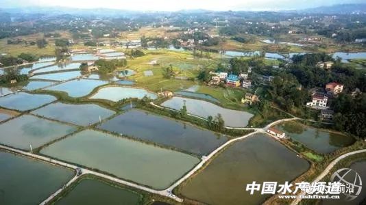 水产绿色养殖与高质量发展,水产生态健康养殖如何做