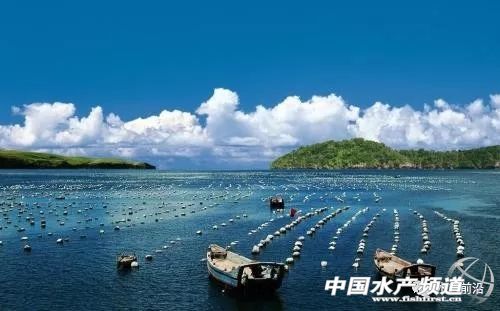 水产绿色养殖与高质量发展,水产生态健康养殖如何做