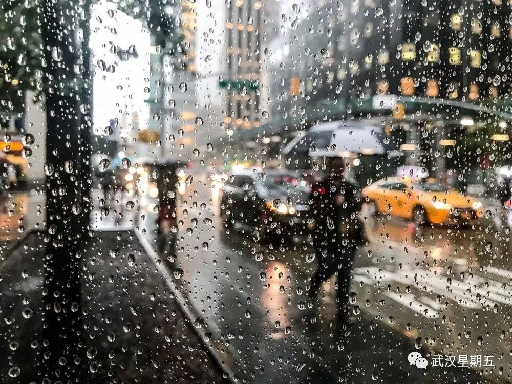 又又又又又又要下雨了,幸好有它们赶走沮丧