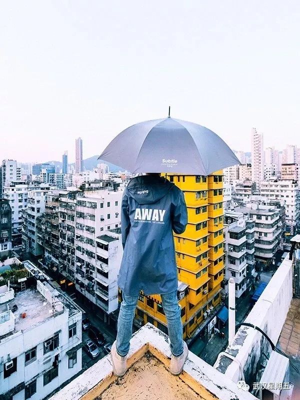 又又又又又又要下雨了,幸好有它们赶走沮丧