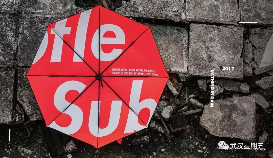 又又又又又又要下雨了,幸好有它们赶走沮丧