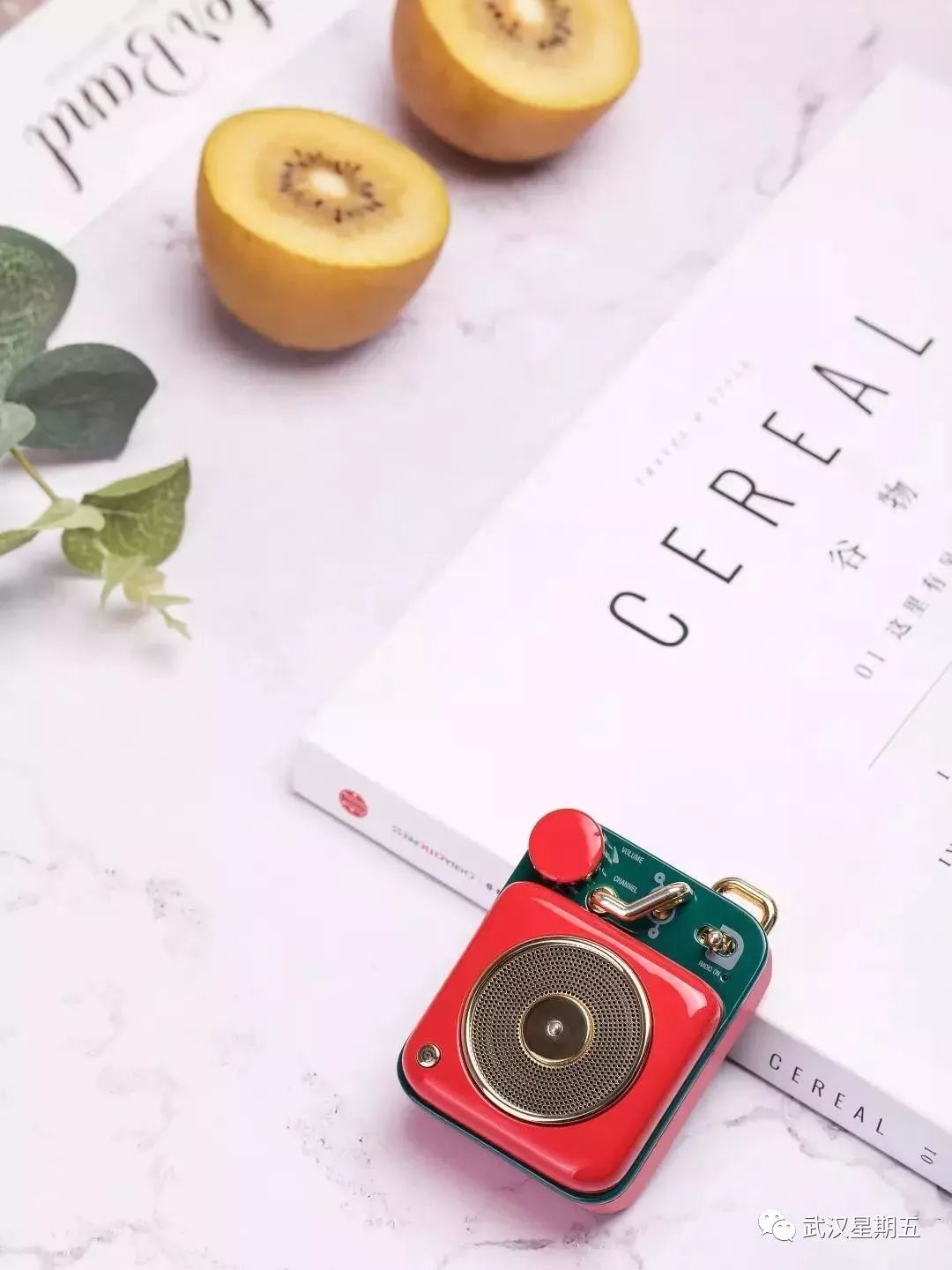 又又又又又又要下雨了,幸好有它们赶走沮丧