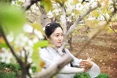 学好太极拳发力三要素,练好太极拳的十大要诀