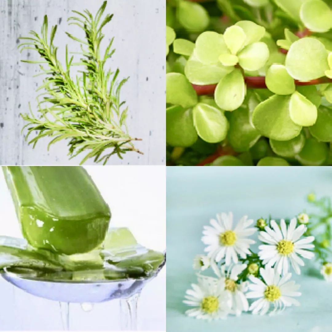 持久不暗沉粉底液测评平价不到100,带磨皮效果的粉底液测评