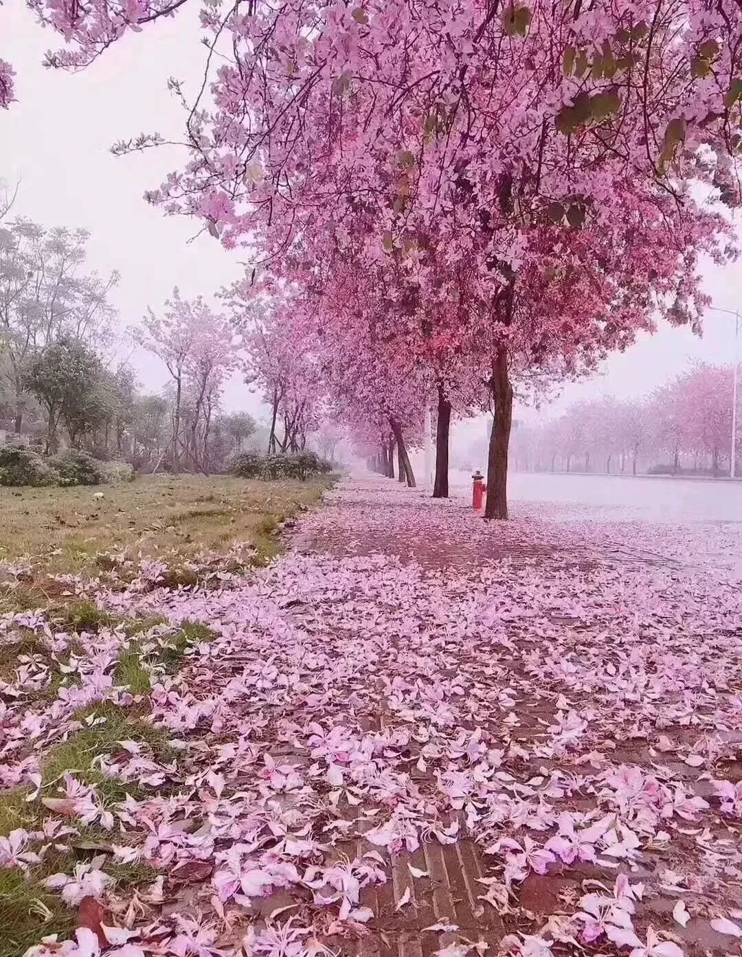 广西有座小城,广西隐藏千年小城