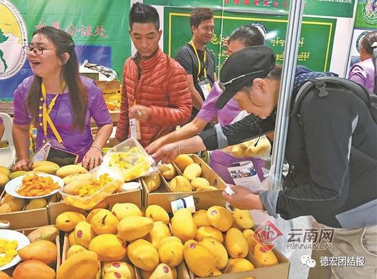 德宏景颇小伙弄丁眼里的电商经：缅甸“钻石”芒果惹人爱！
