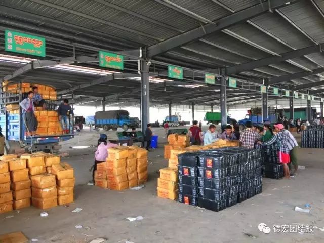 德宏景颇小伙弄丁眼里的电商经：缅甸“钻石”芒果惹人爱！