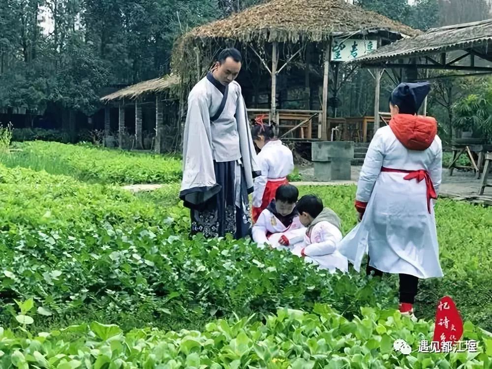 儿童节带孩子去哪里玩儿最好,都江堰六一适合孩子玩的地方