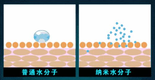 南非春夏复活草保湿水,南非不死草对皮肤的好处