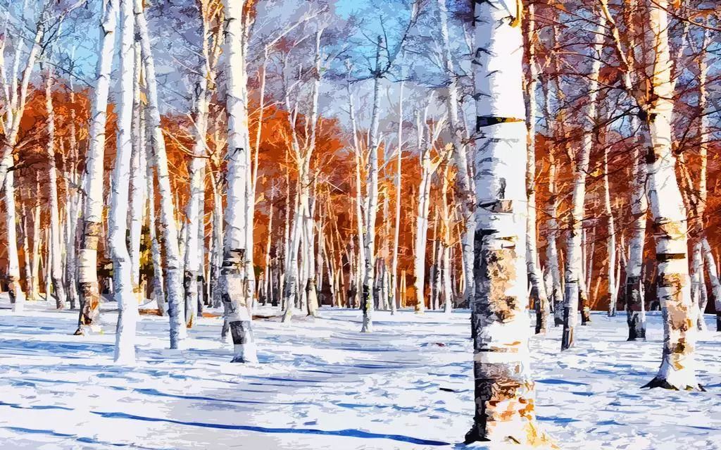 南非春夏复活草保湿水,南非不死草对皮肤的好处