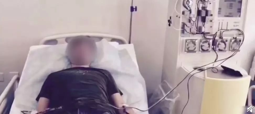 跟着女明星一起吃减脂餐,跟着女明星喝胶原蛋白