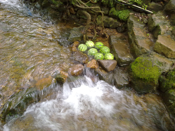 森林氧吧呼吸最新鲜的空气,森林氧吧对身体的好处