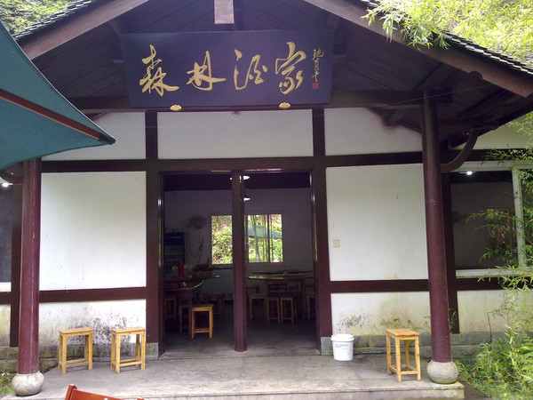 森林氧吧呼吸最新鲜的空气,森林氧吧对身体的好处