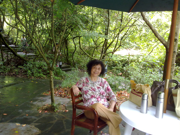 森林氧吧呼吸最新鲜的空气,森林氧吧对身体的好处