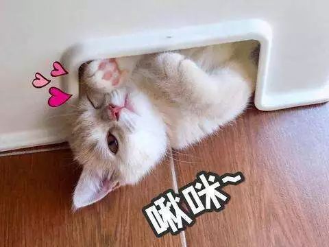 随手e拍举报全国奖励,随手e拍举报奖励