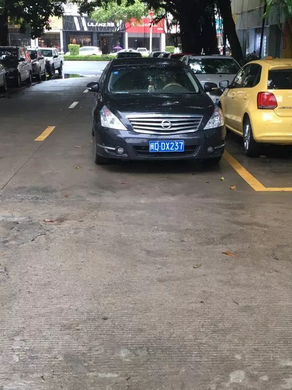 随手e拍举报全国奖励,随手e拍举报奖励