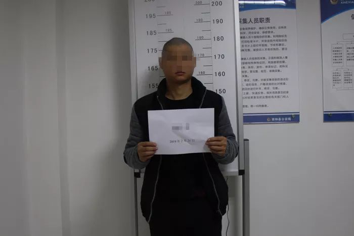 西和县扫黑除恶案件,西和县破获重大案件