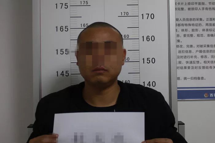 西和县扫黑除恶案件,西和县破获重大案件