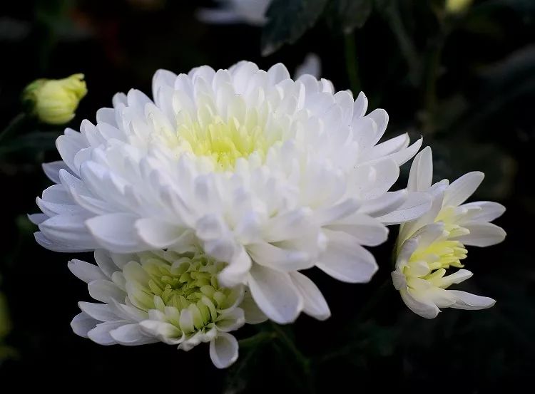 庆云88岁老*党**员去世前留下这样的遗嘱,感动了全县人民!