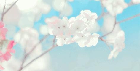 关注春天,关注身边的昆虫