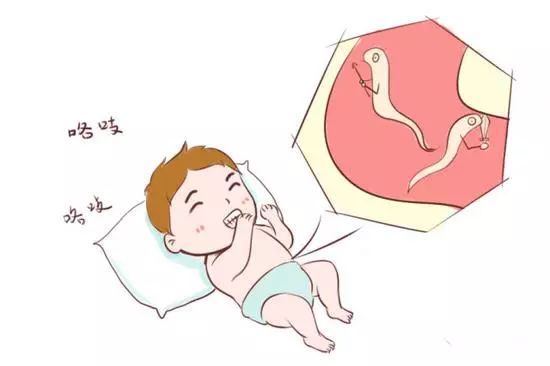 关注春天,关注身边的昆虫