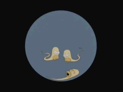 你一直用的套套，可能根本不适合你