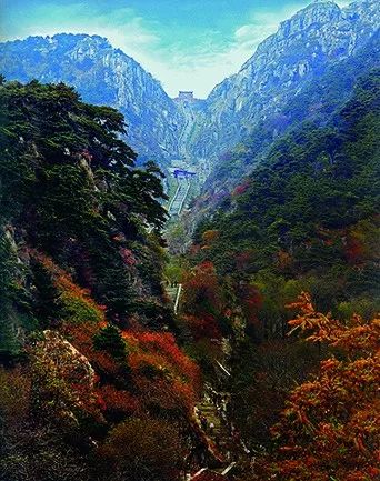 关于山东泰山的故事有哪些,讲好泰山故事