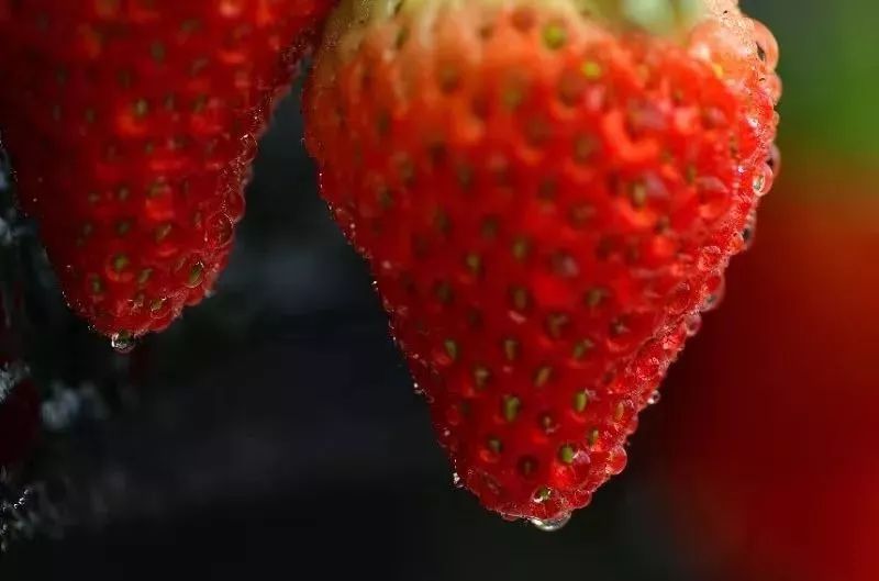 草莓爱马仕,草莓中的爱马仕测评