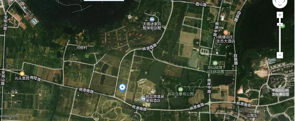 草莓爱马仕,草莓中的爱马仕测评