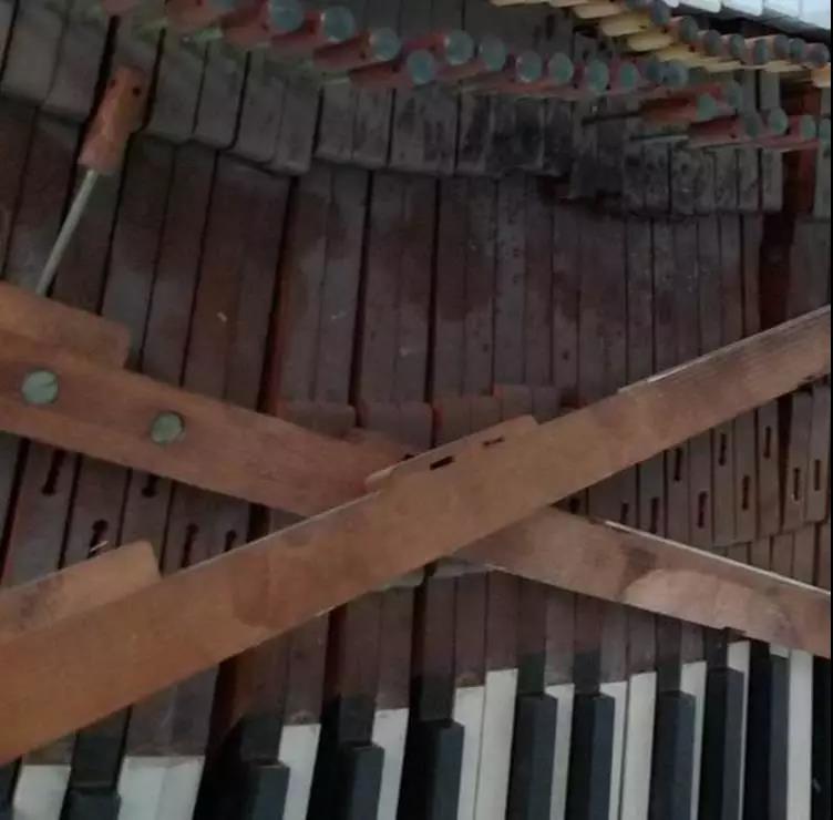 钢琴热背后的素质教育,钢琴教育对美育的影响