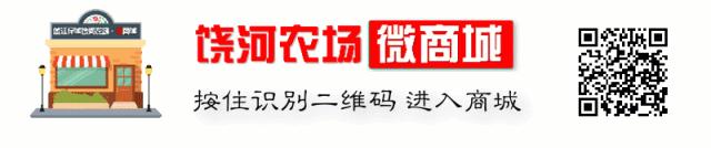 在乌苏江畔的日子|悼念老大哥许春清