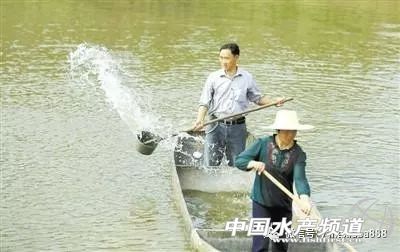 水产养殖专用消毒剂有哪些,水产养殖消毒剂有哪些