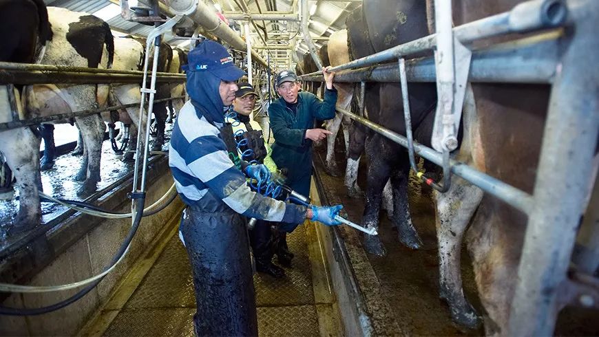 香港“夺命流感”已致226人死,提高儿童免疫力,新西兰妈妈还能做什么?