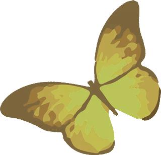 “泰”舒服了!听说,和冬天更配的“宜游之城”就在这儿!温泉水暖、古镇飘香…是时候来场冬季泰州行啦