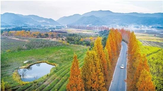 确认过眼神，公路版《生僻字》请你来唱！