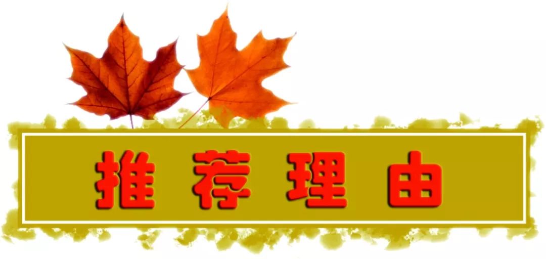 小学办学思路及建议,农村小学学校办学思路