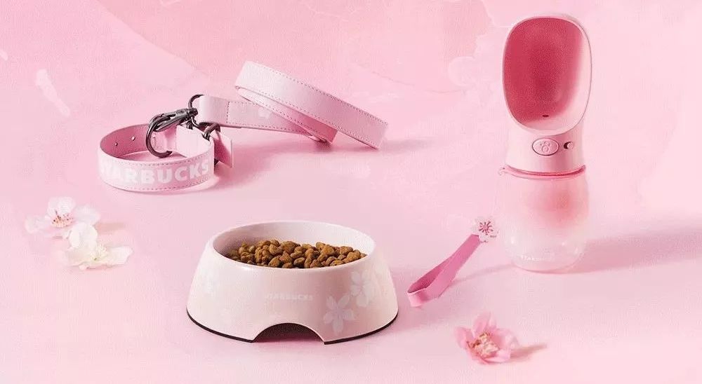 樱花猫爪杯是什么,樱花猫爪杯