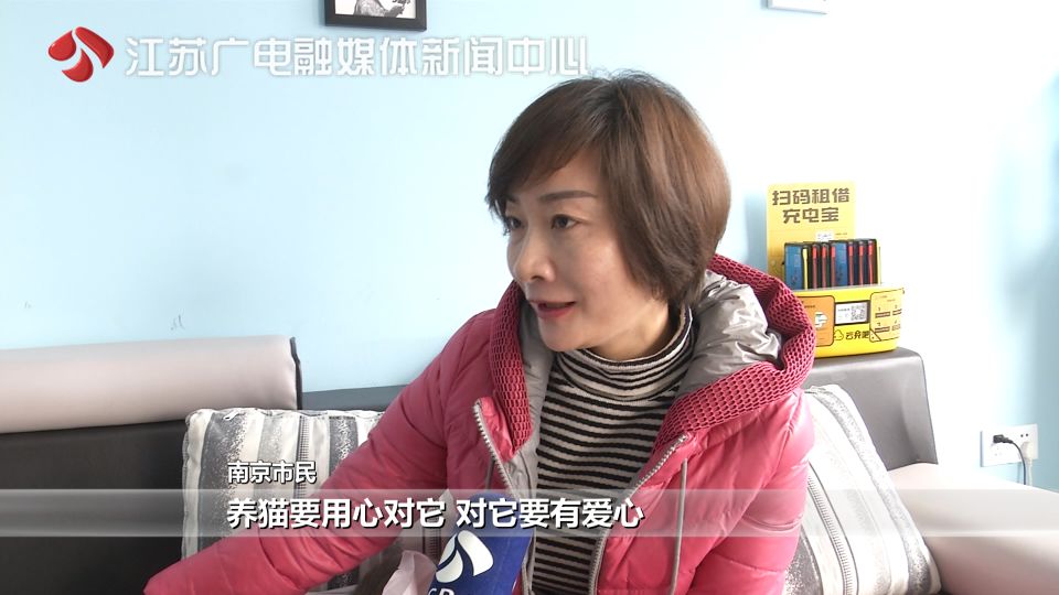 猫拉了双眼皮的感受,猫咪为啥拉双眼皮