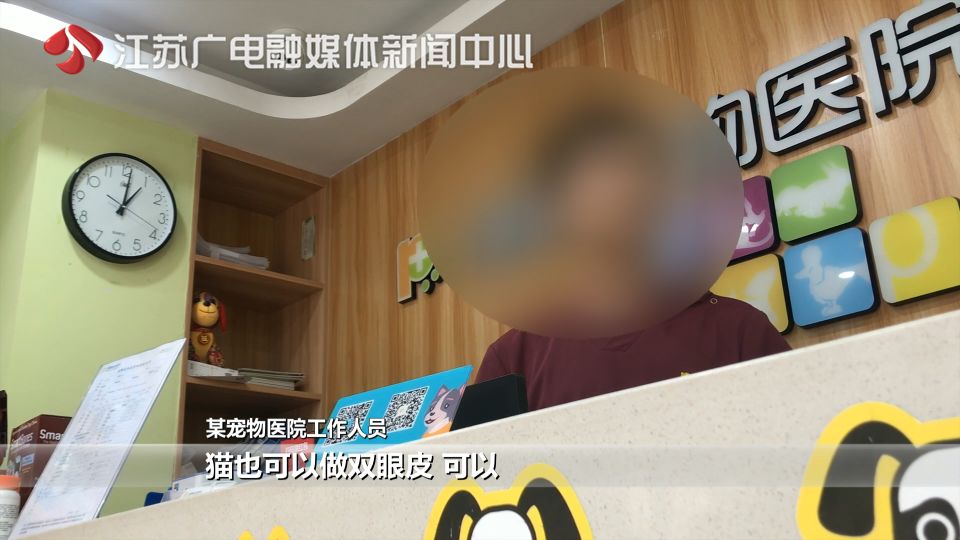 猫拉了双眼皮的感受,猫咪为啥拉双眼皮