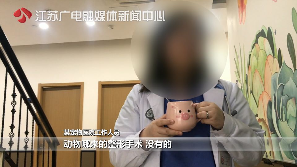 猫拉了双眼皮的感受,猫咪为啥拉双眼皮