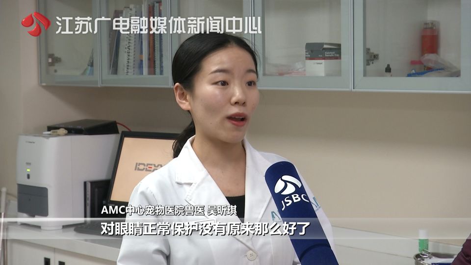 猫拉了双眼皮的感受,猫咪为啥拉双眼皮