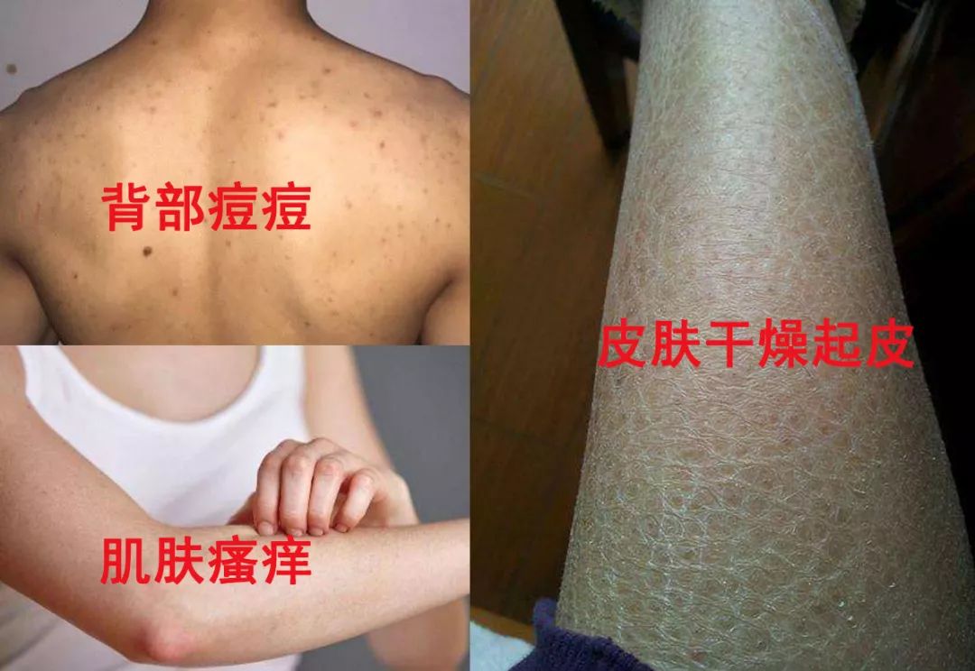 优雅有质感的味道,清新又优雅的味道