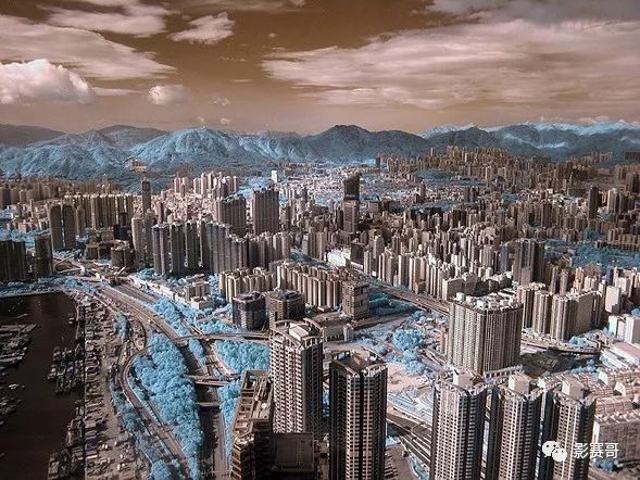 尼康肖像摄影大赛获奖作品欣赏,2021尼康获奖摄影作品欣赏