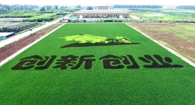 庐江经济全省排名,2024庐江县域经济高质量发展大会