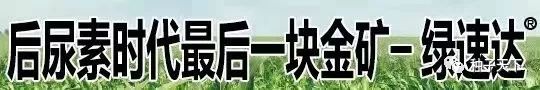 2020年山东审定的小麦品种公告书,2022年农业部主推玉米小麦品种