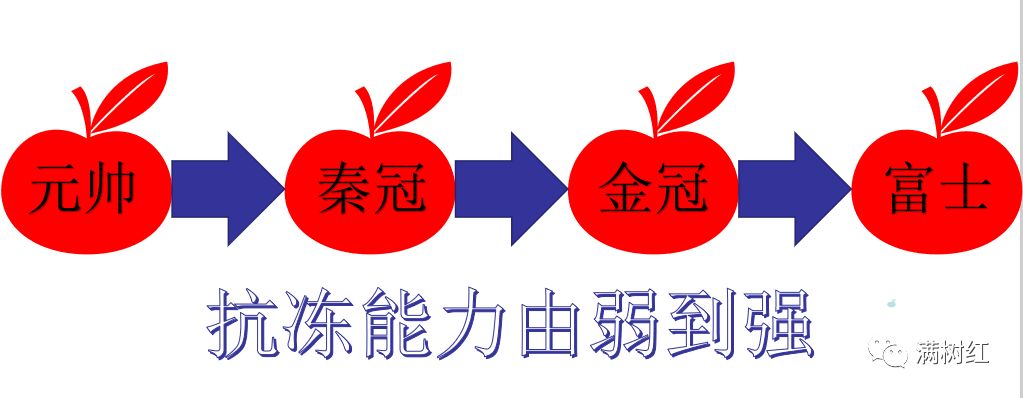 寡妇年真的有倒春寒吗,2019年是不是寡妇年