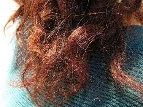 日韩明星都在用的高颜值洗发水！终于知道日本妹子早上起床后都不梳头的原因了……